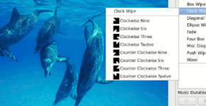 1 presentaciones de videos en Linux con Imagination delfines presentaciones