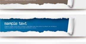 Banners vectoriales
