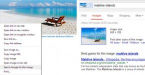 Chrome para la Web