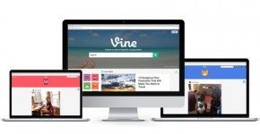 Vine
