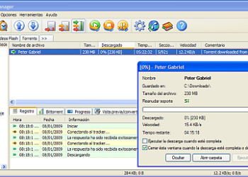 Free Download Manager - Interfaz