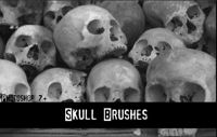 skulls-brushes-deviantart