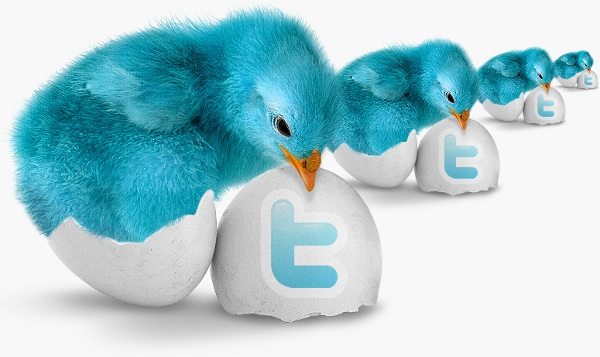 Blue Bird - Twitter icon pack