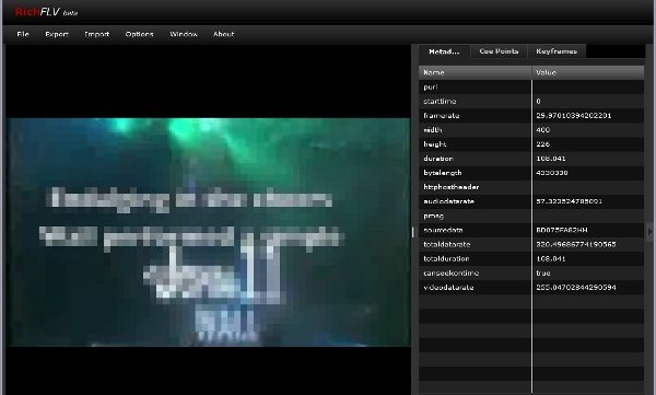 RichFLV - Interfaz RichFLV - Interfaz
